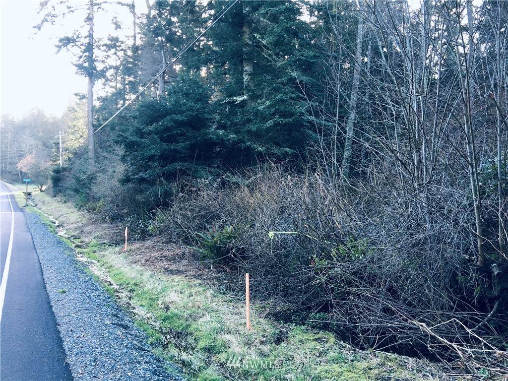 0 Race Road - Photo 1