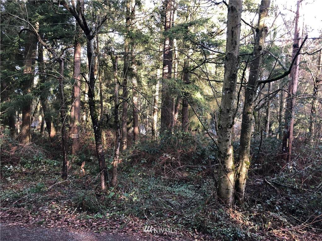 0 28th Ave S - Photo 1