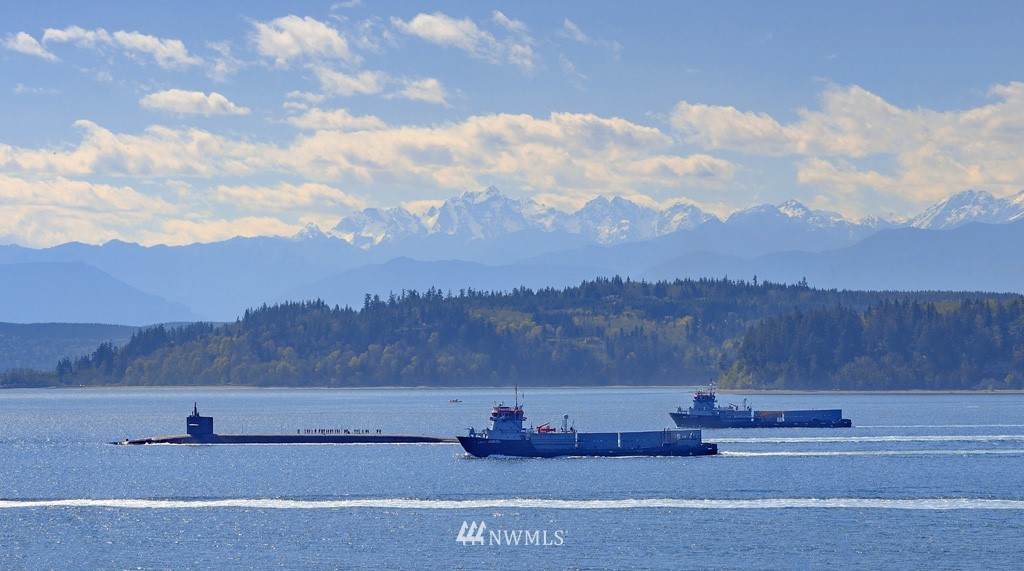 35453 Hood Canal Drive - Photo 1