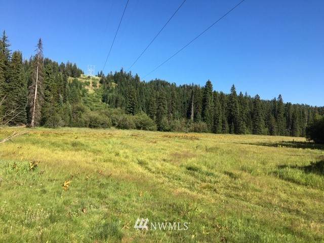 0 Wild Woman Springs - Photo 1
