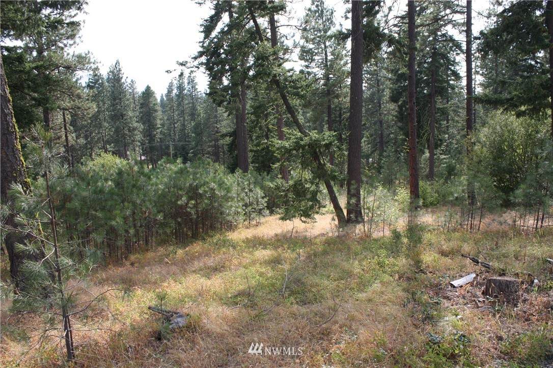 28 R&R Heights Road - Photo 1