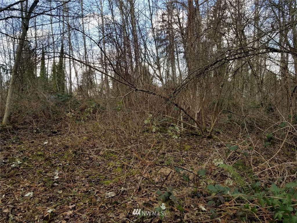 0 125th Avenue - Photo 1