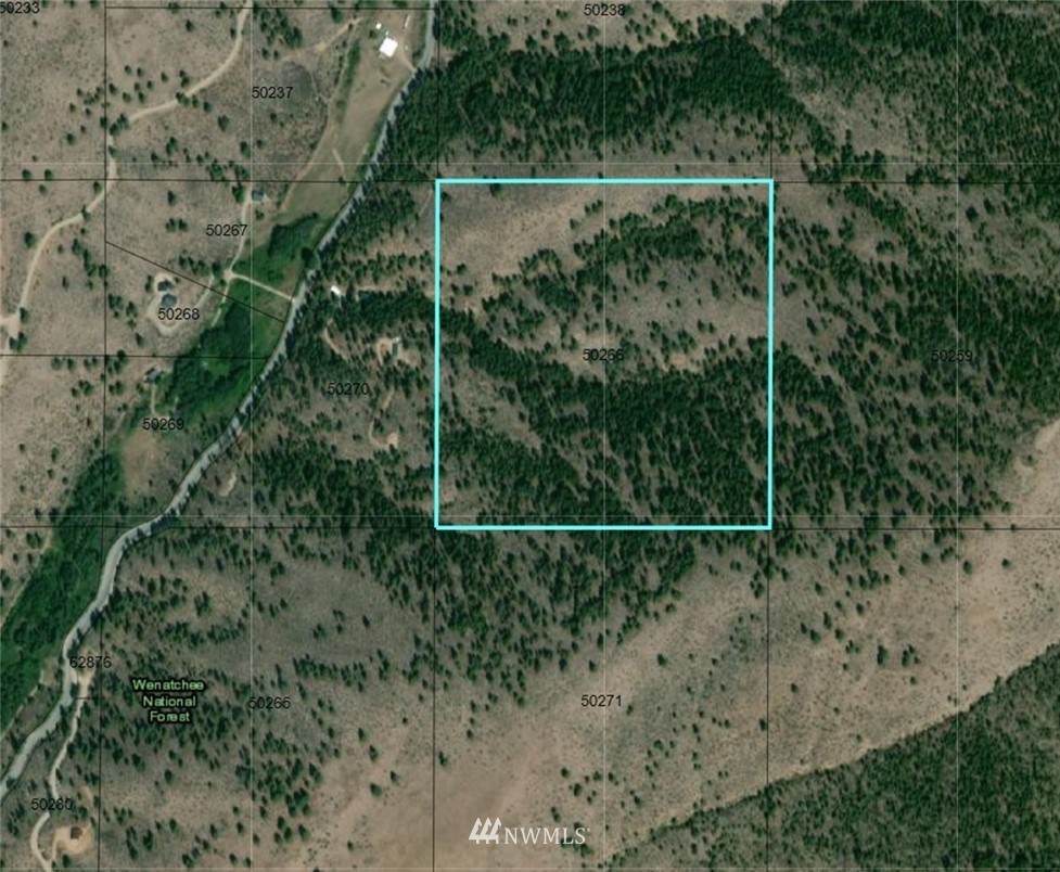 0 Cooper Gulch Rd - Photo 1