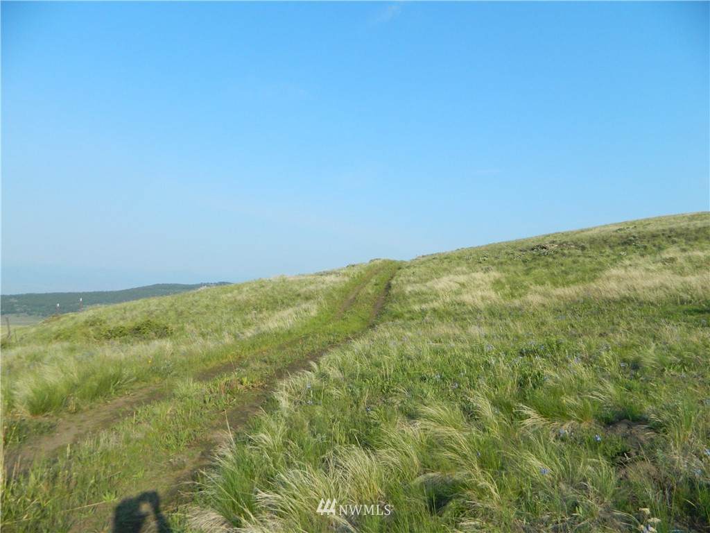 1111 Havillah Road - Photo 1