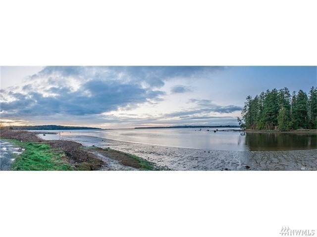 0 Drayton Harbor Road - Photo 1