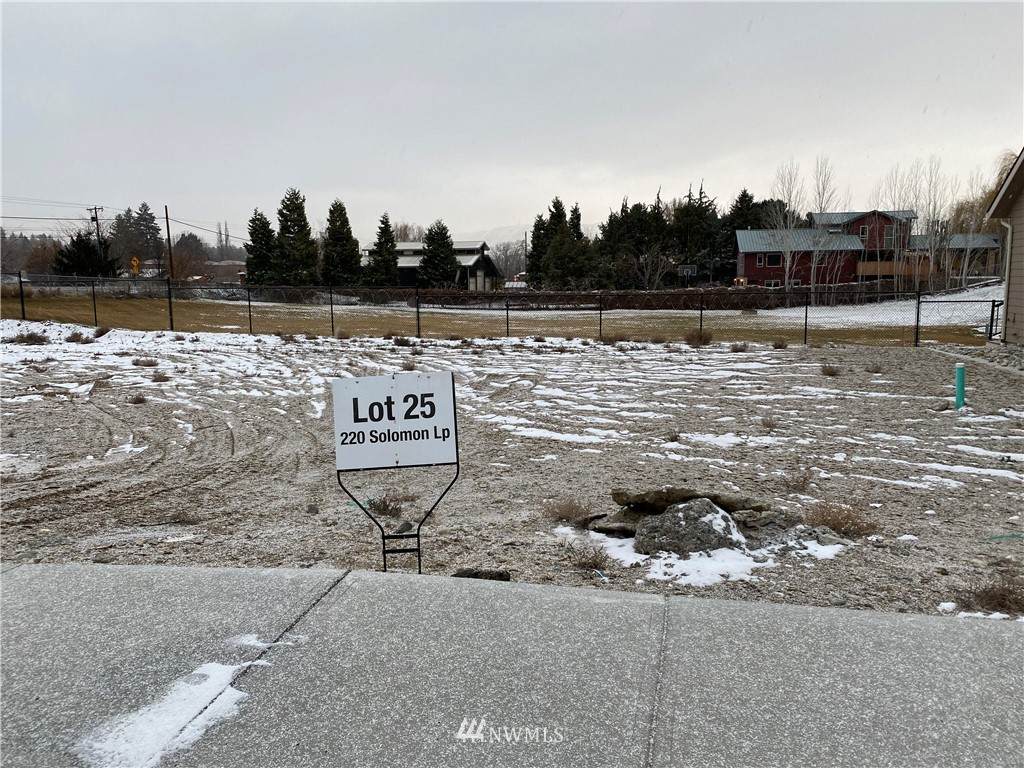 220 Solomon Loop - Photo 1