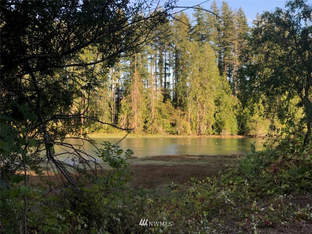 7240 Grapeview Loop Road - Photo 1