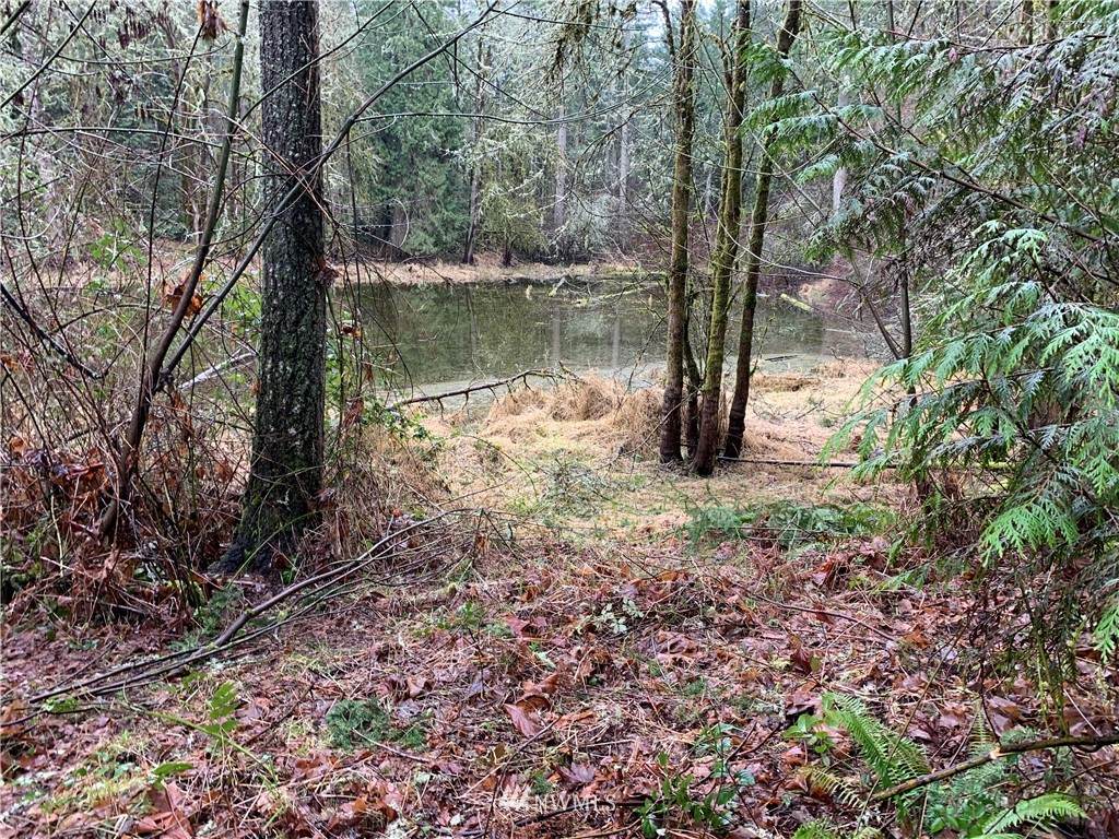 17920 Pondside Court - Photo 1