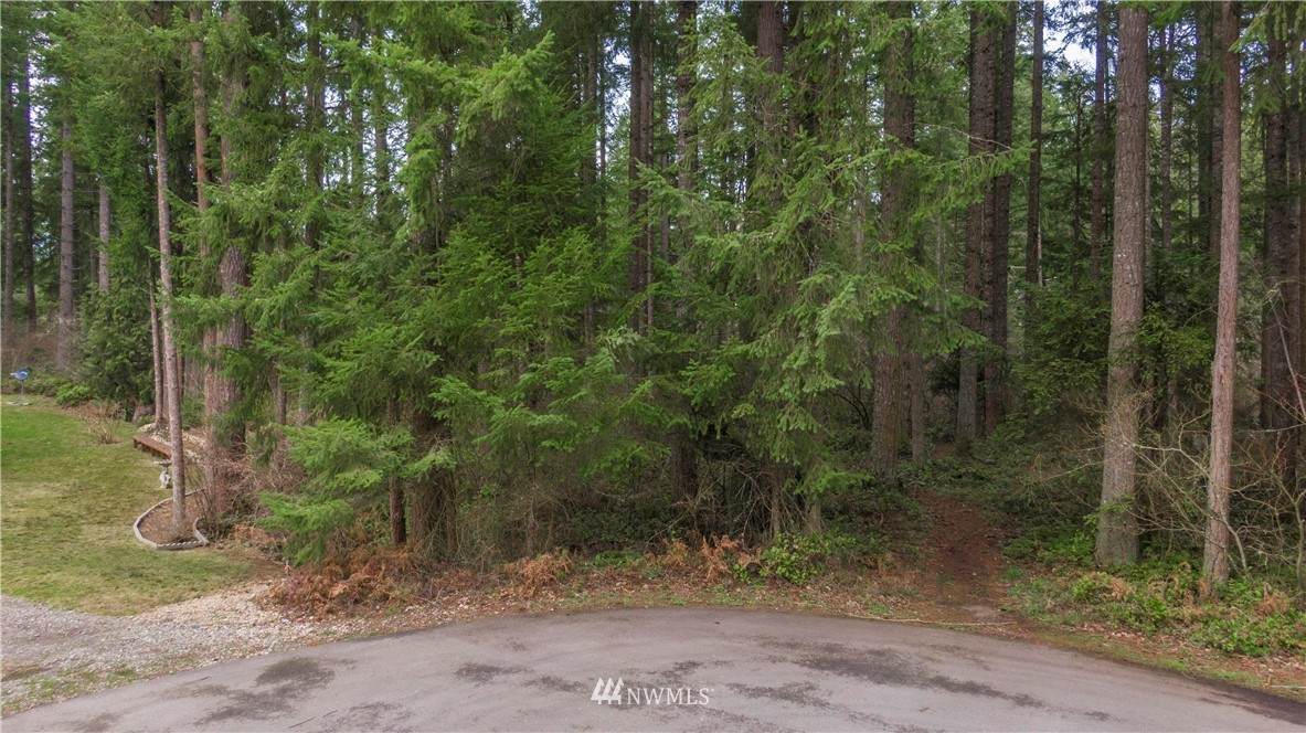 17521 Loop Lane - Photo 1