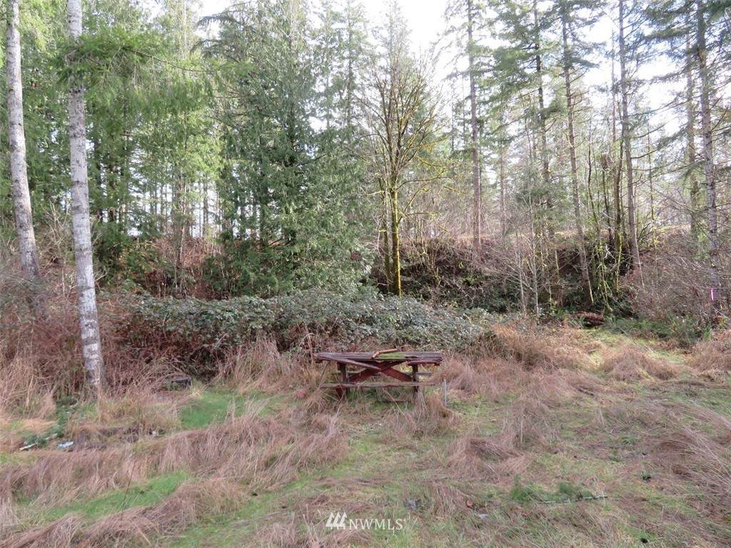 50 Alder Place - Photo 1