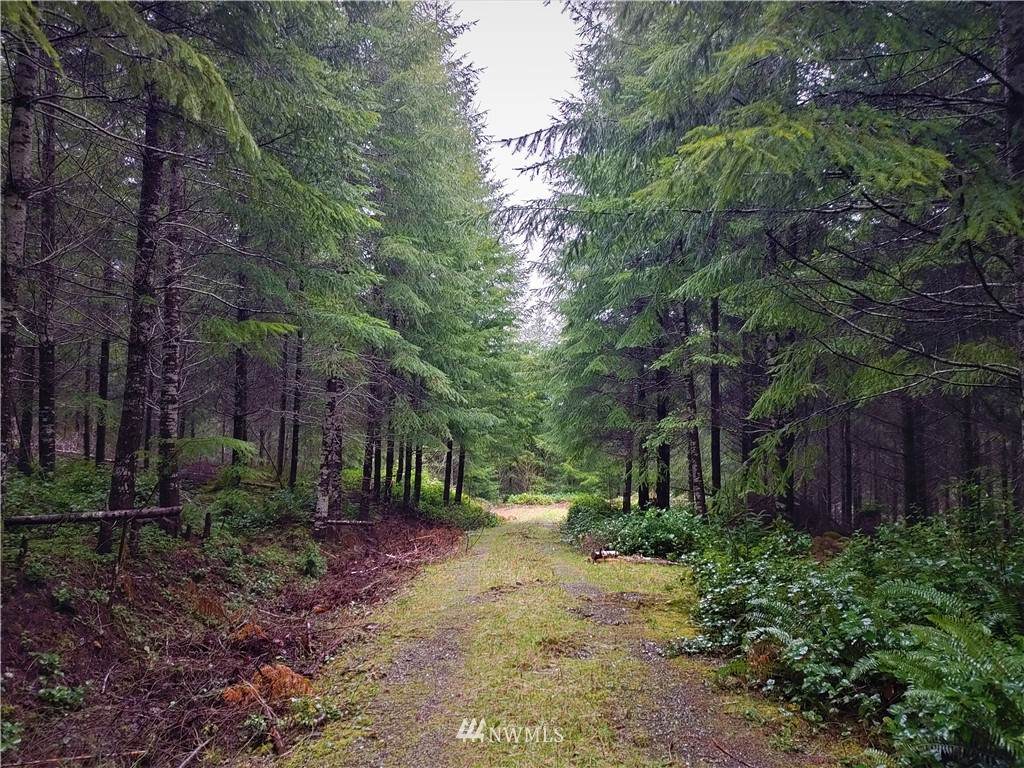 70 Arrowhead Lane - Photo 1