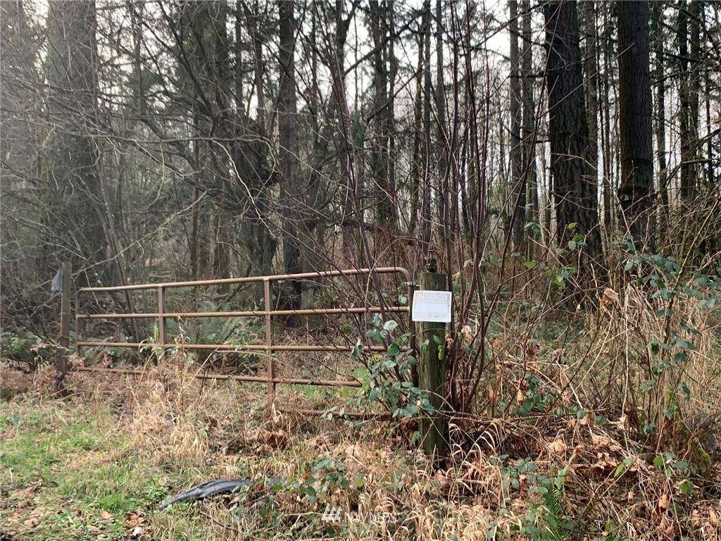 12617 Littlerock Road - Photo 1