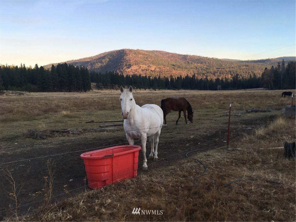 1770 Lyman Lake Moses Meadow Road - Photo 1