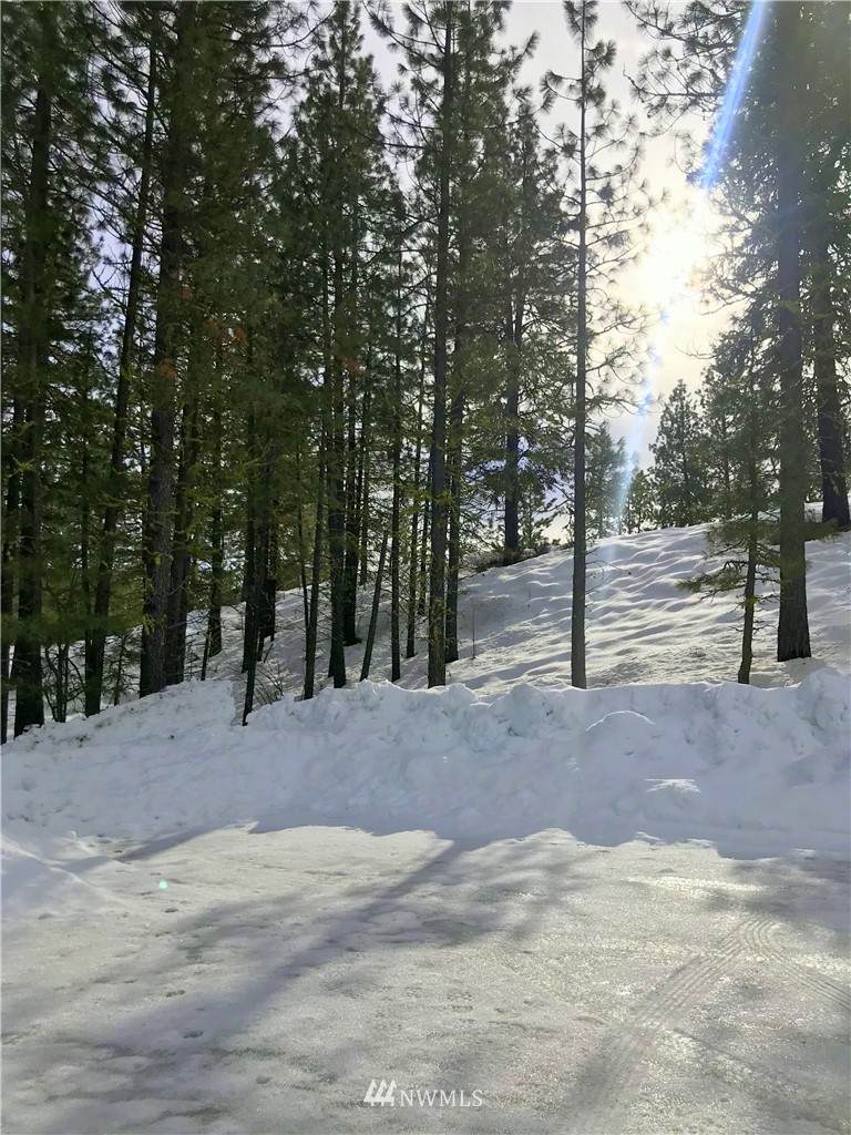 18 Wild Rose Road - Photo 1