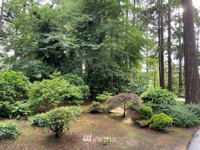 7115 Interlaaken Drive - Photo 1