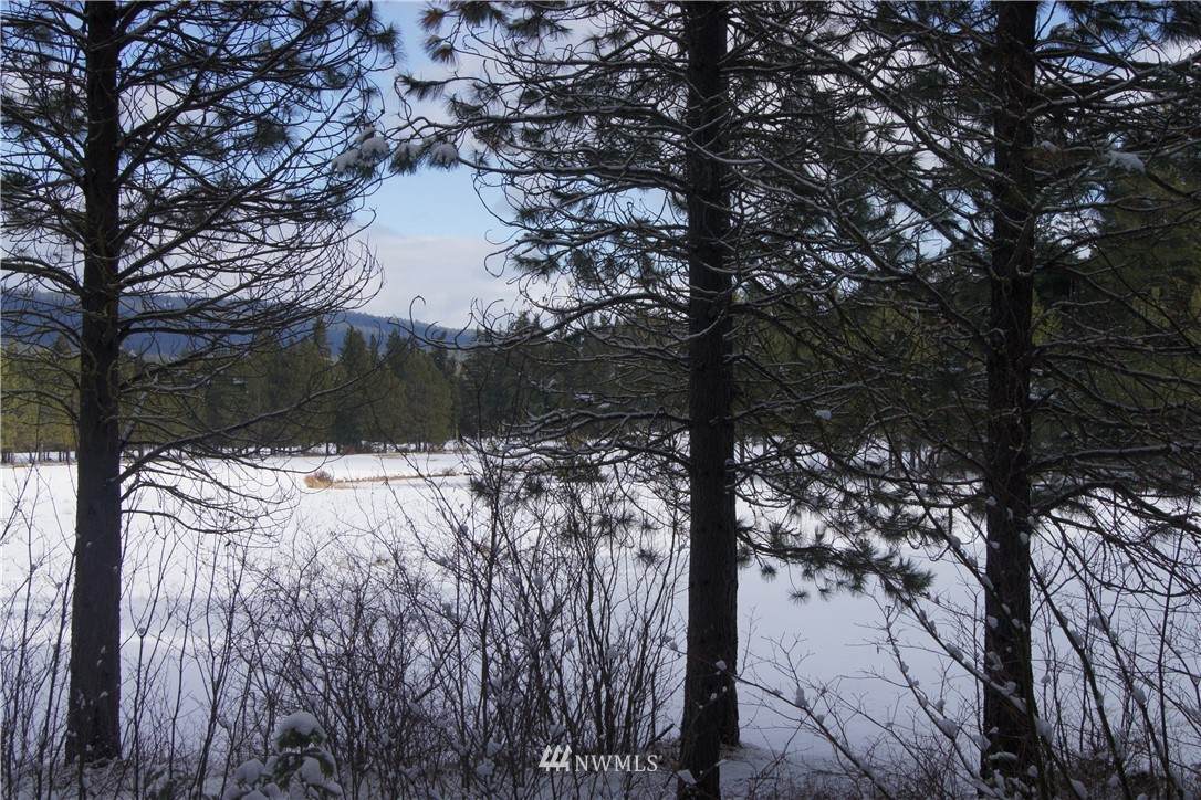 241 Tired Creek Lane - Photo 1