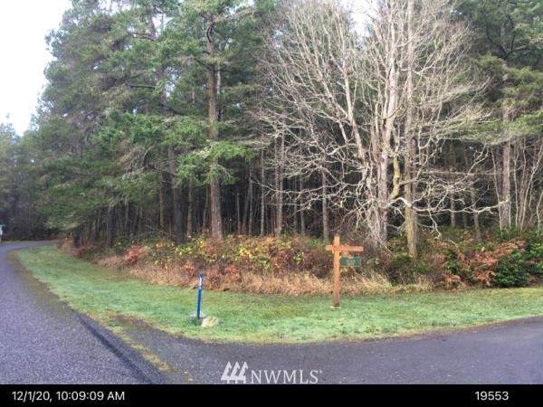 0 Petrich Road - Photo 1