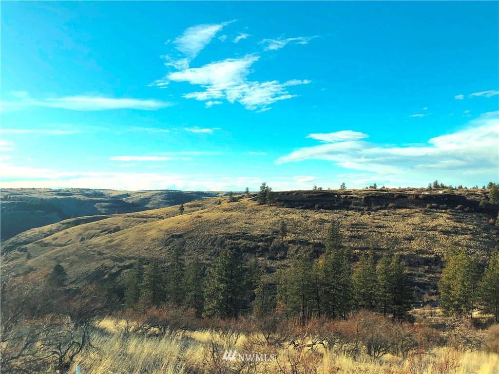 27220 Underwood Canyon Road - Photo 1