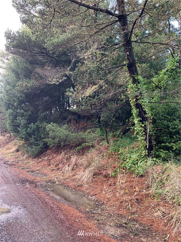 268 Park Lot 4 Avenue - Photo 1