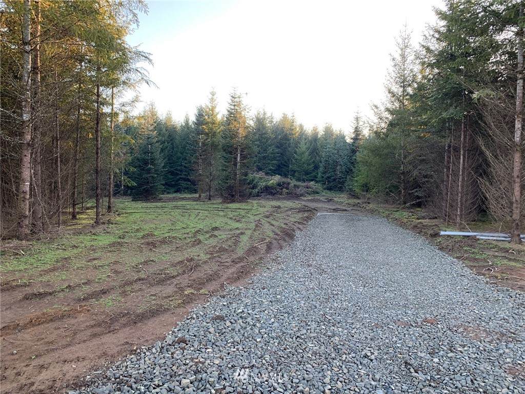 203 Bear Creek Lane - Photo 1