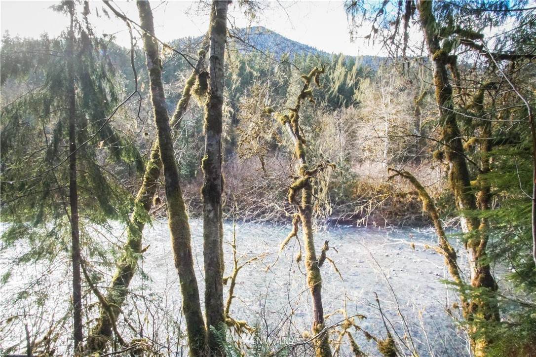 0 Duckabush Road - Photo 1