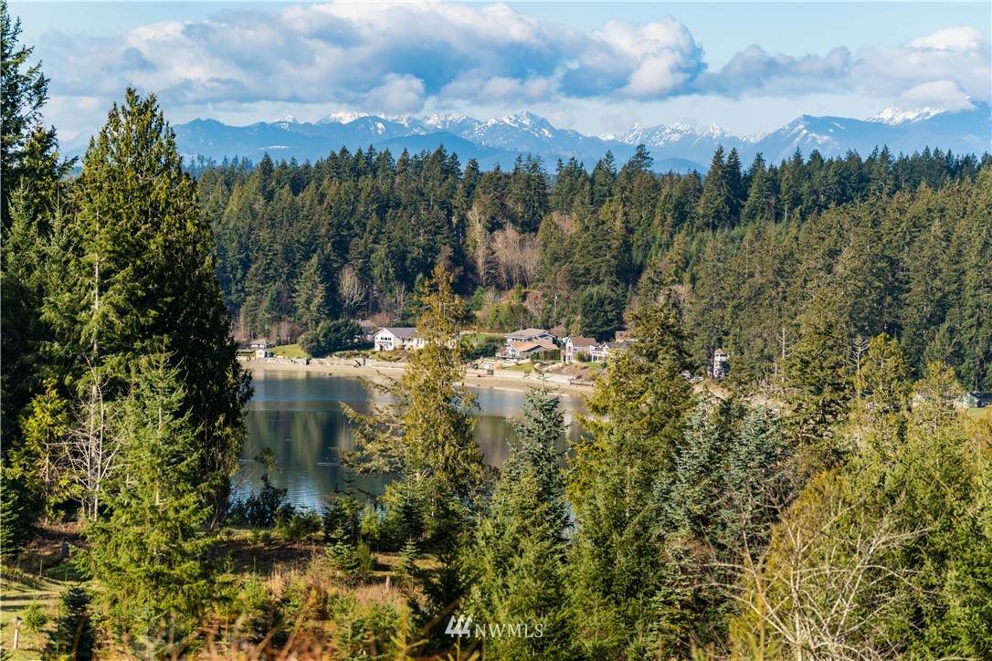 10924 Bliss Cochrane Road - Photo 1