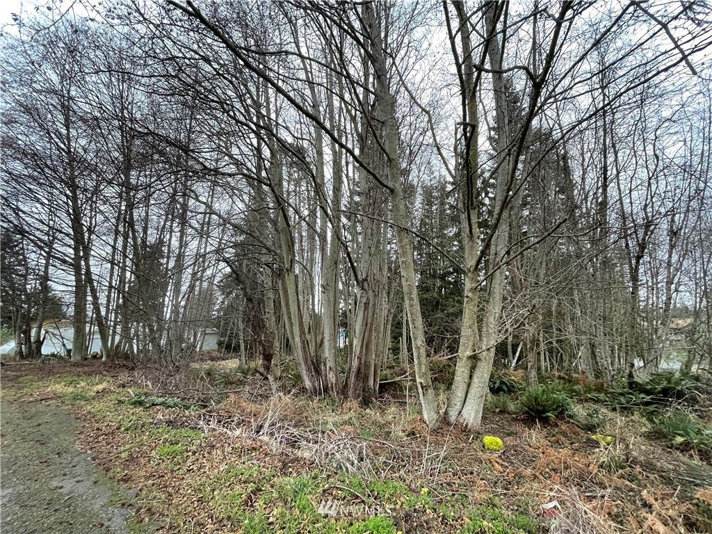 9999 Island Vista Way - Photo 1