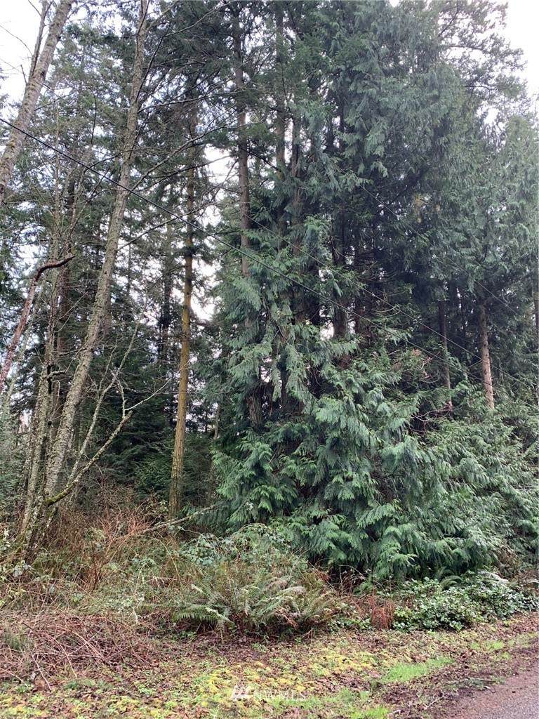 0 Beattie Avenue - Photo 1
