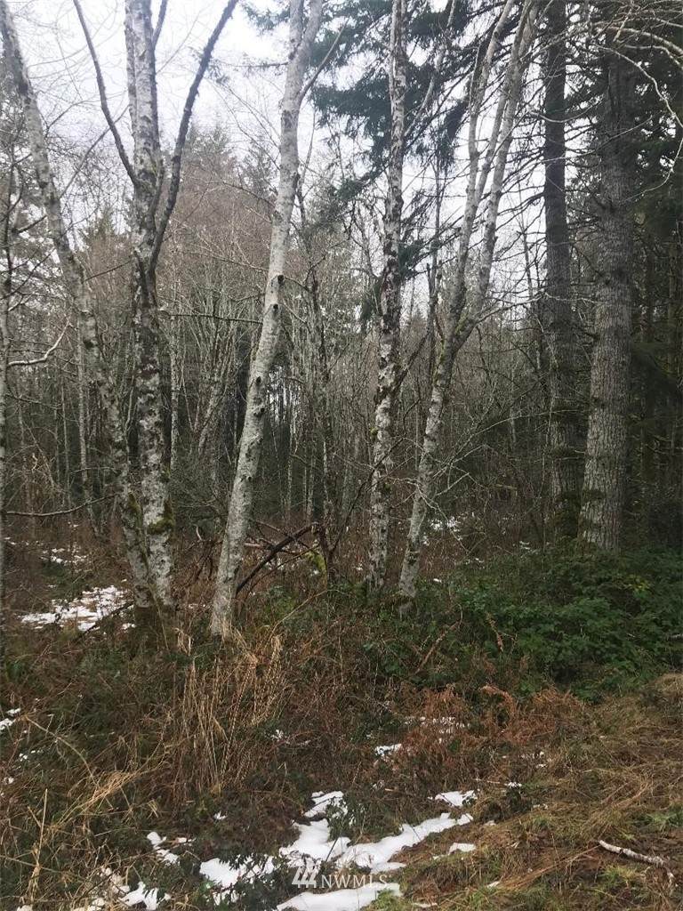 0 X Cedar Street - Photo 1