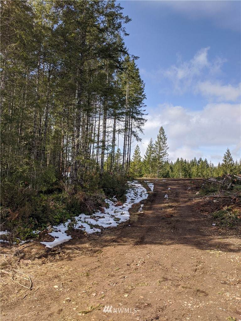 603 Pinedirosa Road - Photo 1