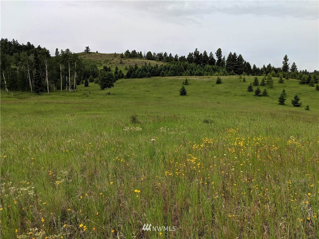 80 Lot T Moose Mtn Road - Photo 1