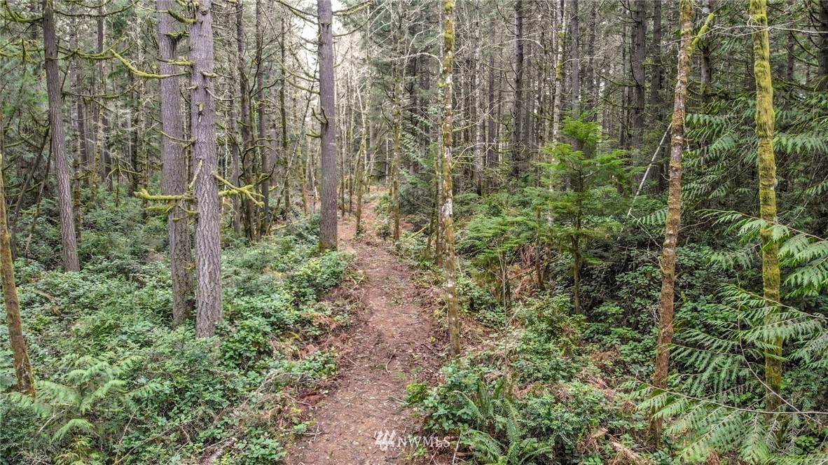 0 Banner Road - Photo 1