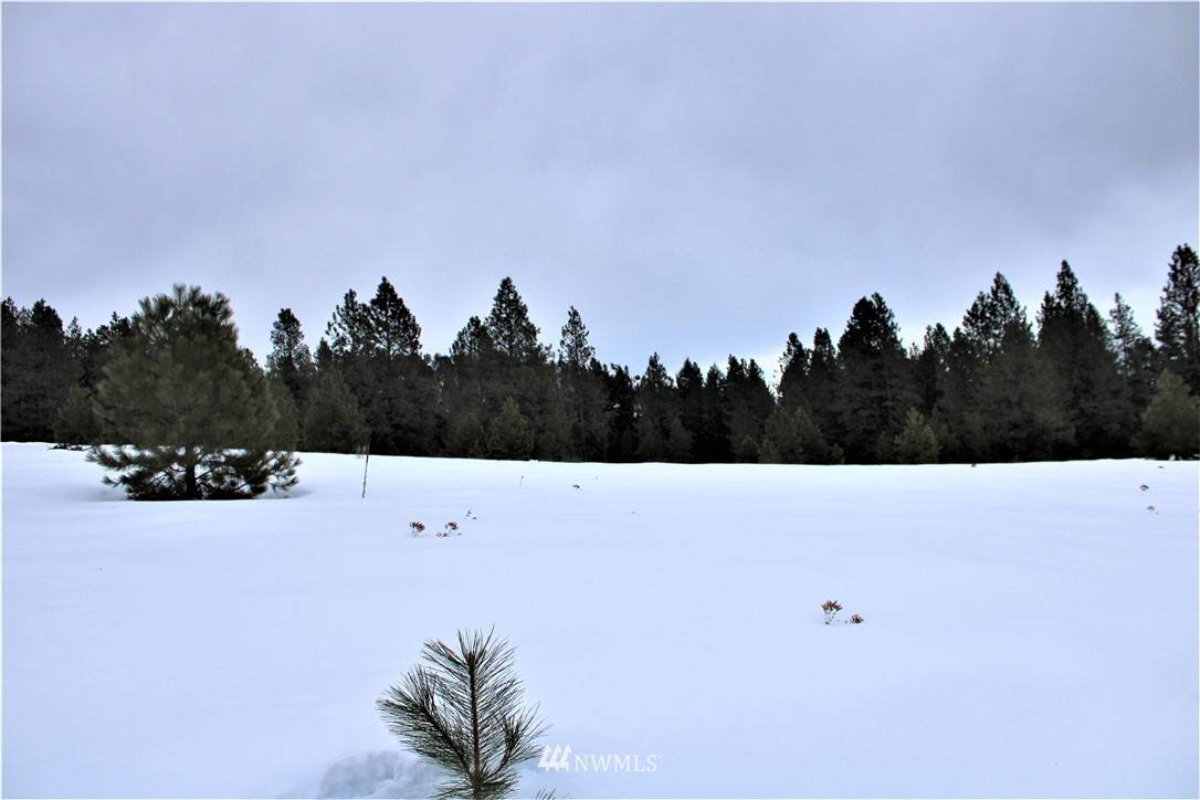 12 Spring Meadow Lane - Photo 1