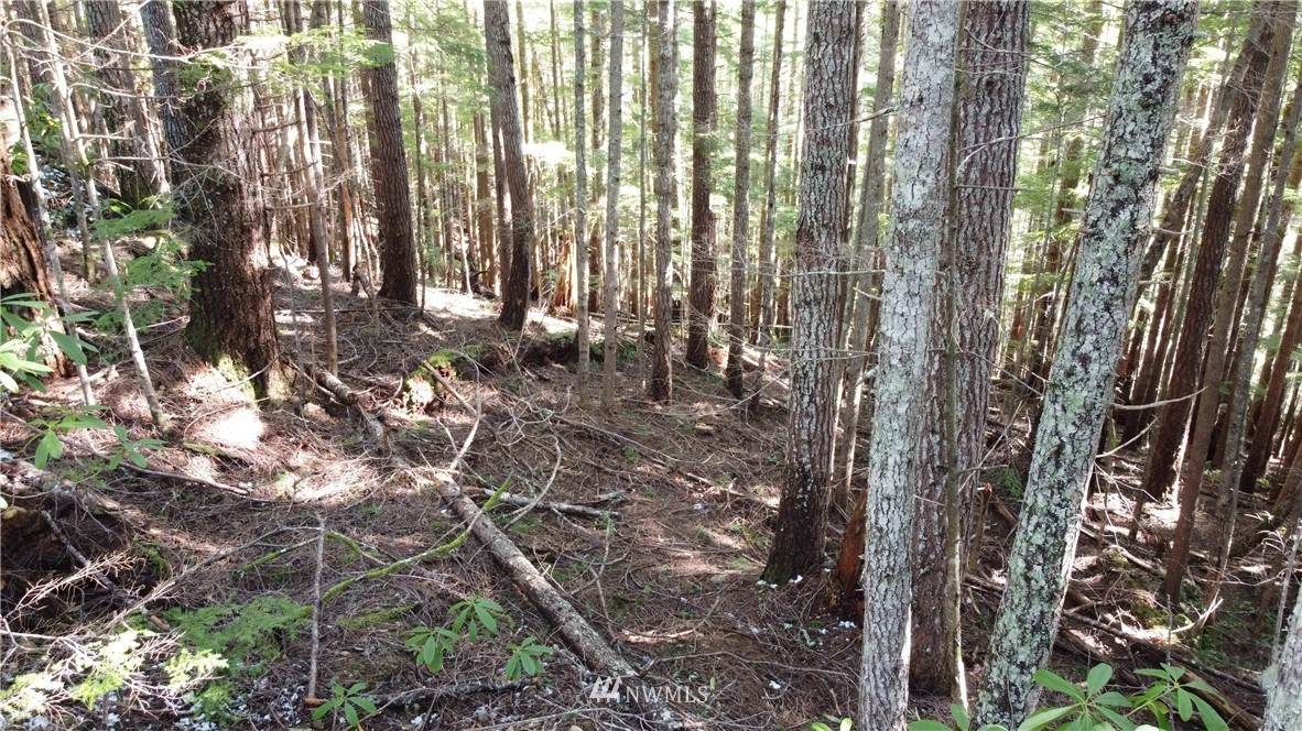 0 Es1 Blk 6 Lot 54 - Photo 1