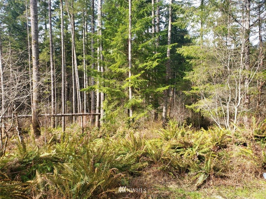 13078 Burchard Drive - Photo 1