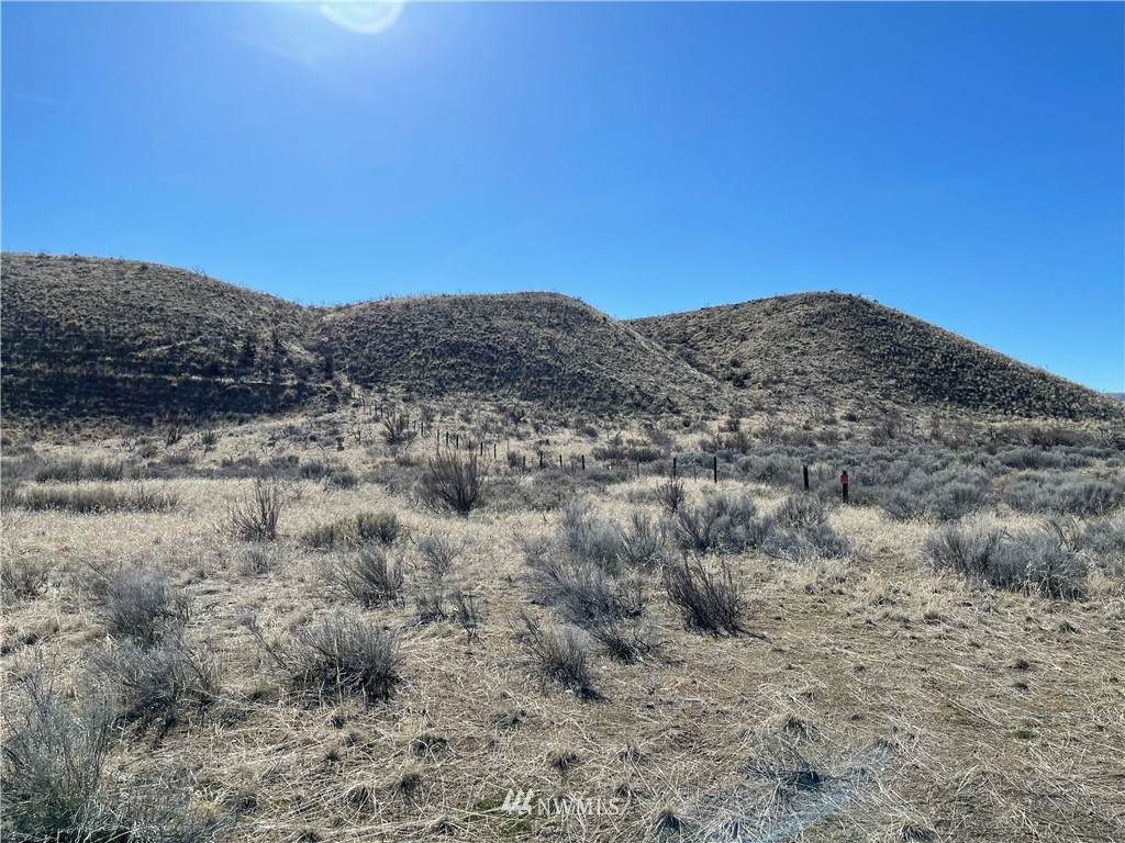 1 XXXX Strahl & Alemeda Flats Road - Photo 1