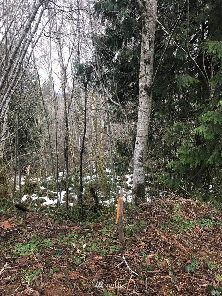 0 XX Alder Place - Photo 1