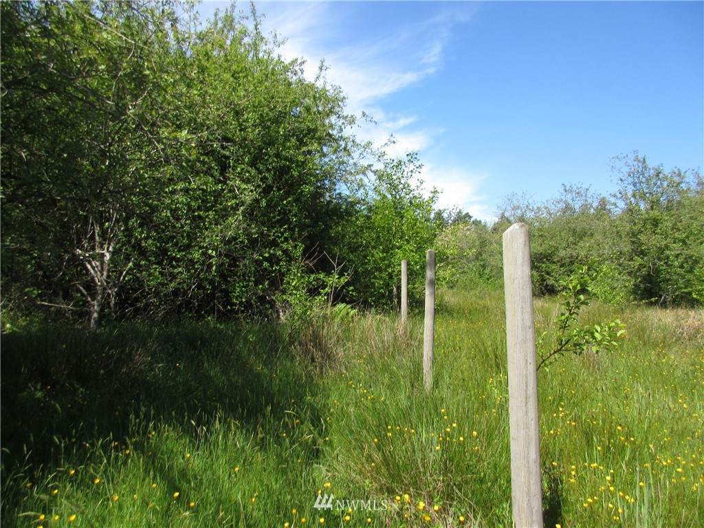 350 Tyee Road - Photo 1