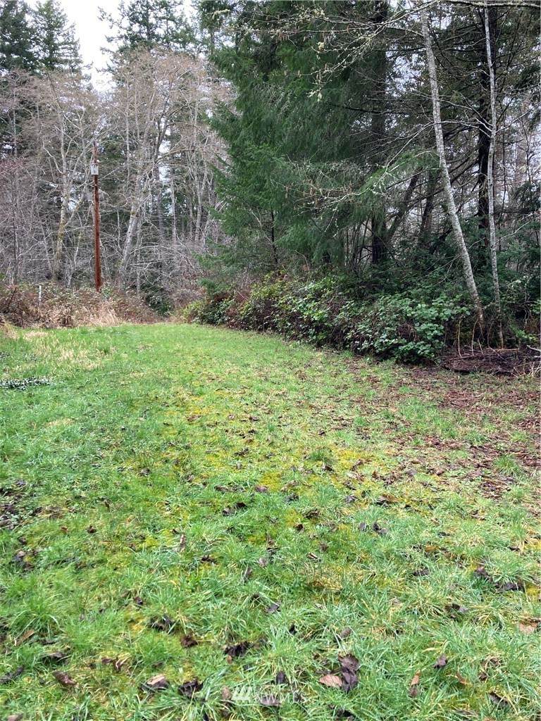 5 Hemlock Street - Photo 1