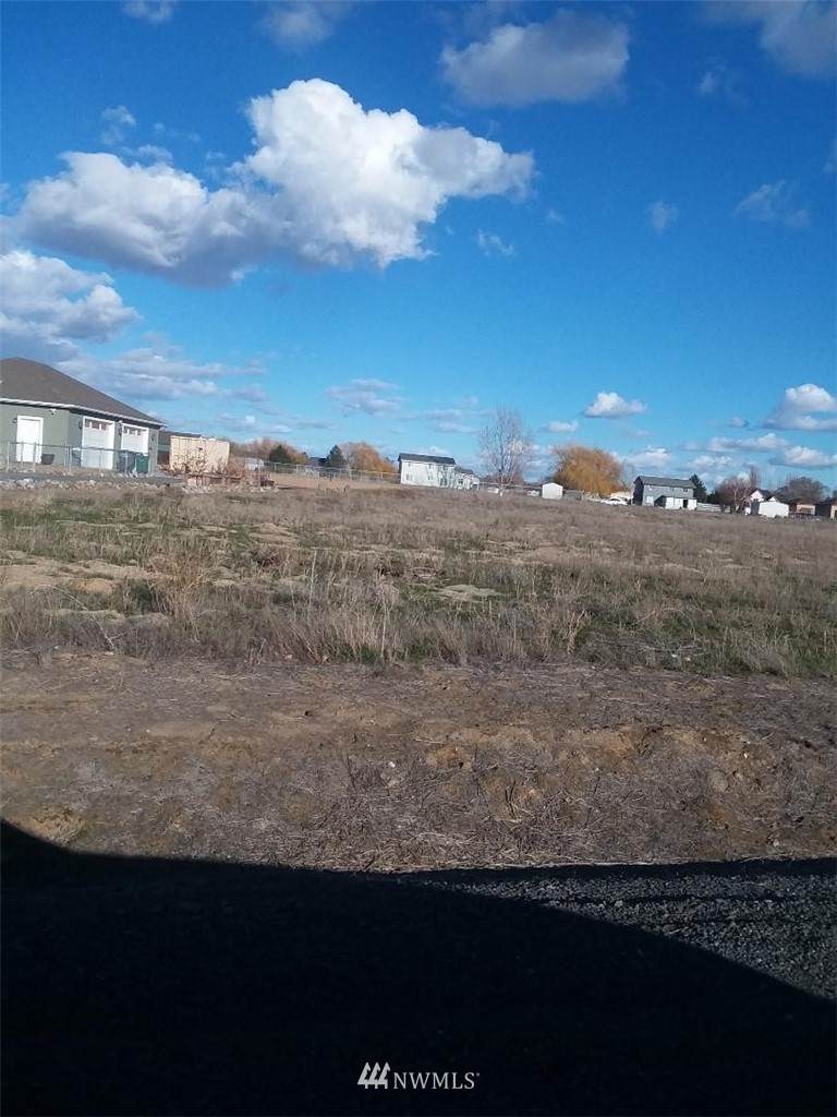 3161 Wild Goose Road - Photo 1