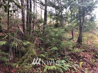0 Dalles Road - Photo 1