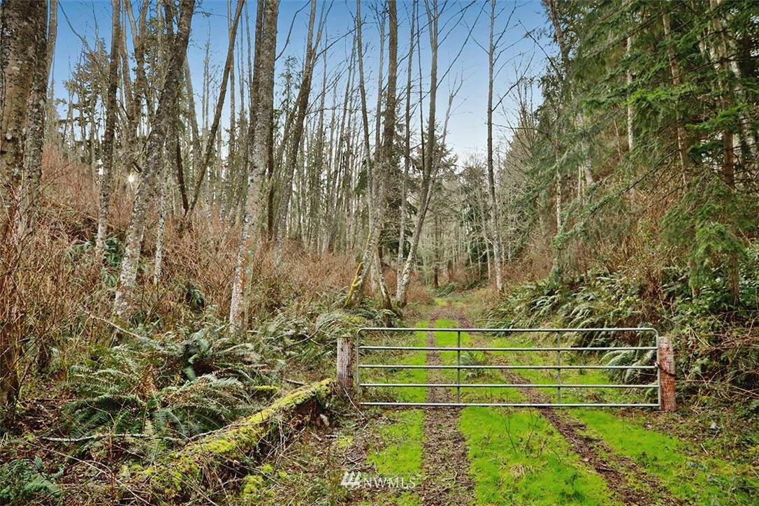 0 Resort Road - Photo 1