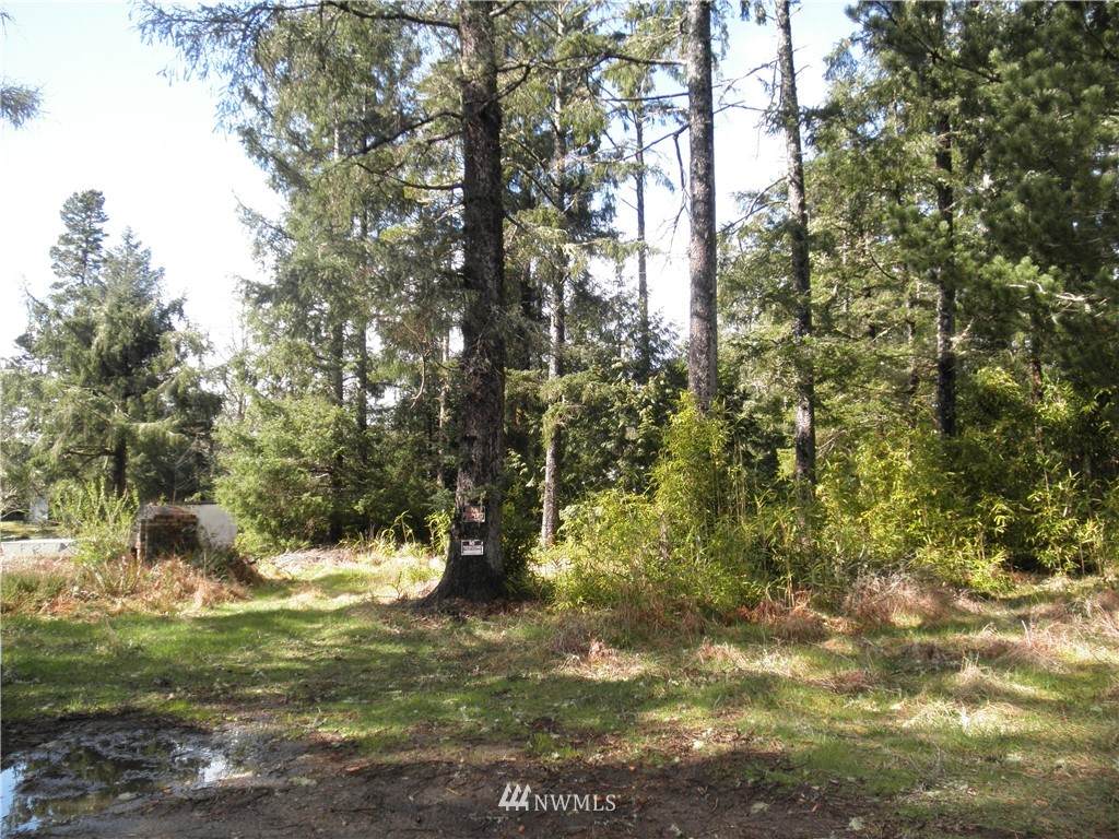 28209 V Lane - Photo 1