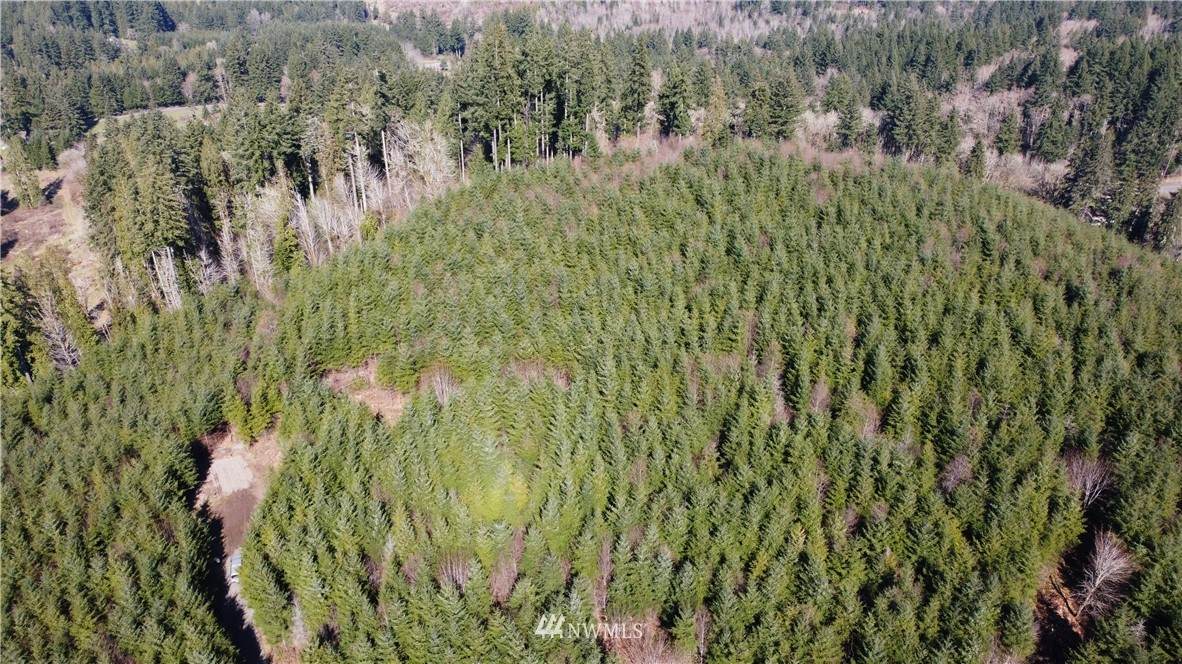 0 Goble Creek Road - Photo 1