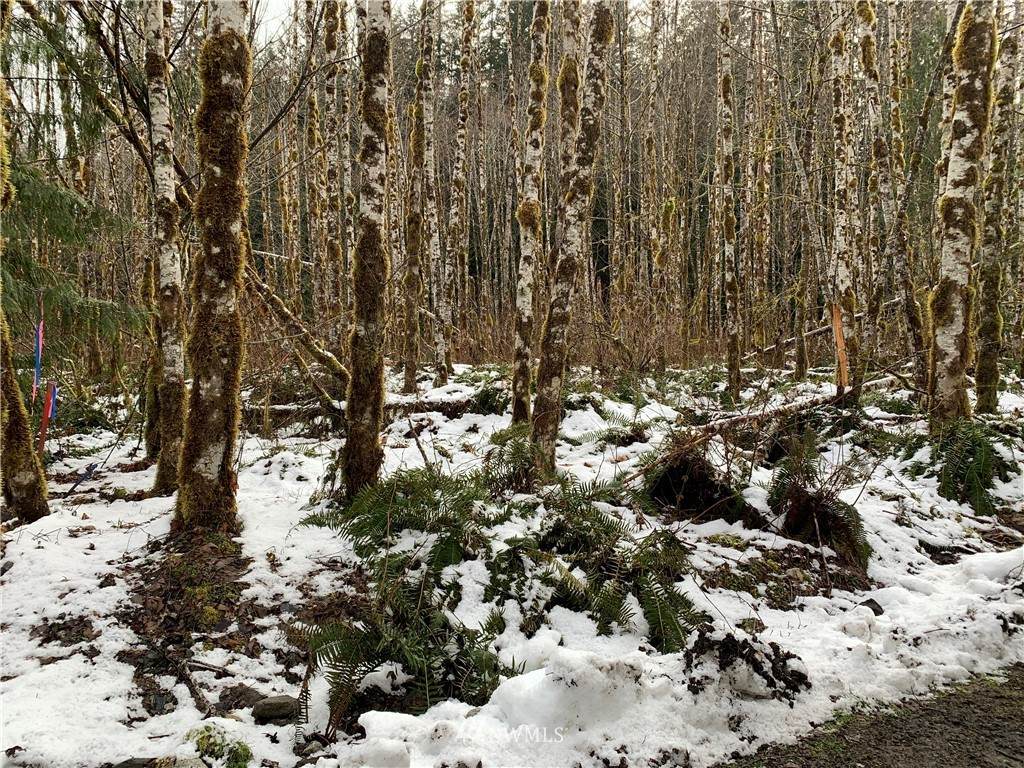 0 Cascade Way - Photo 1