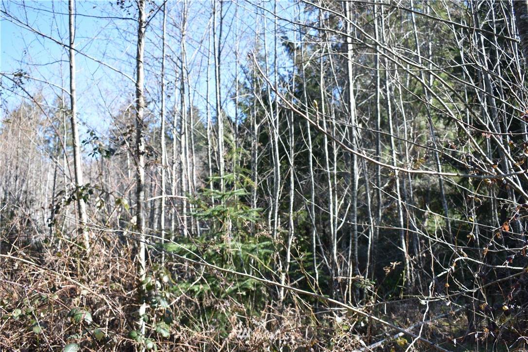 0 Harstine Island Road - Photo 1
