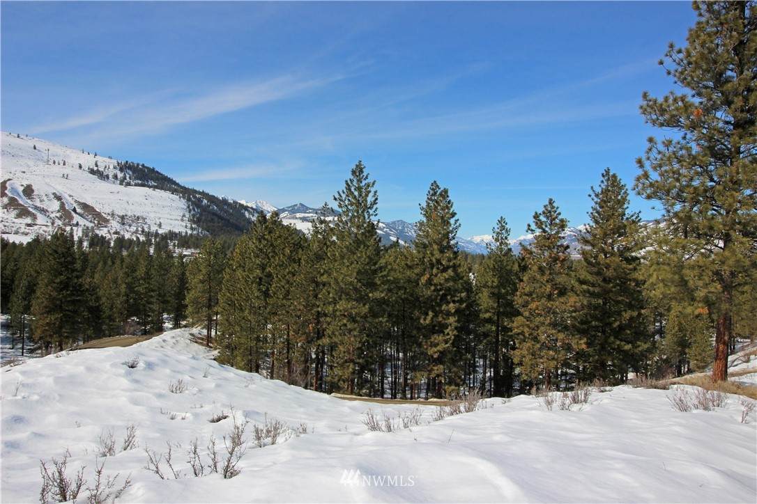 0 Appaloosa Road - Photo 1