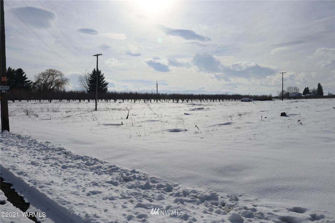 0 Lot#4 Nelson Road - Photo 1