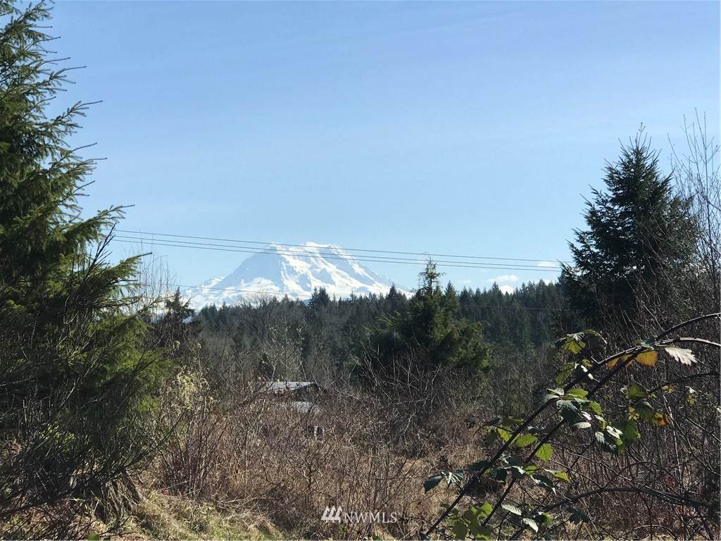 37606 Mountain Highway - Photo 1