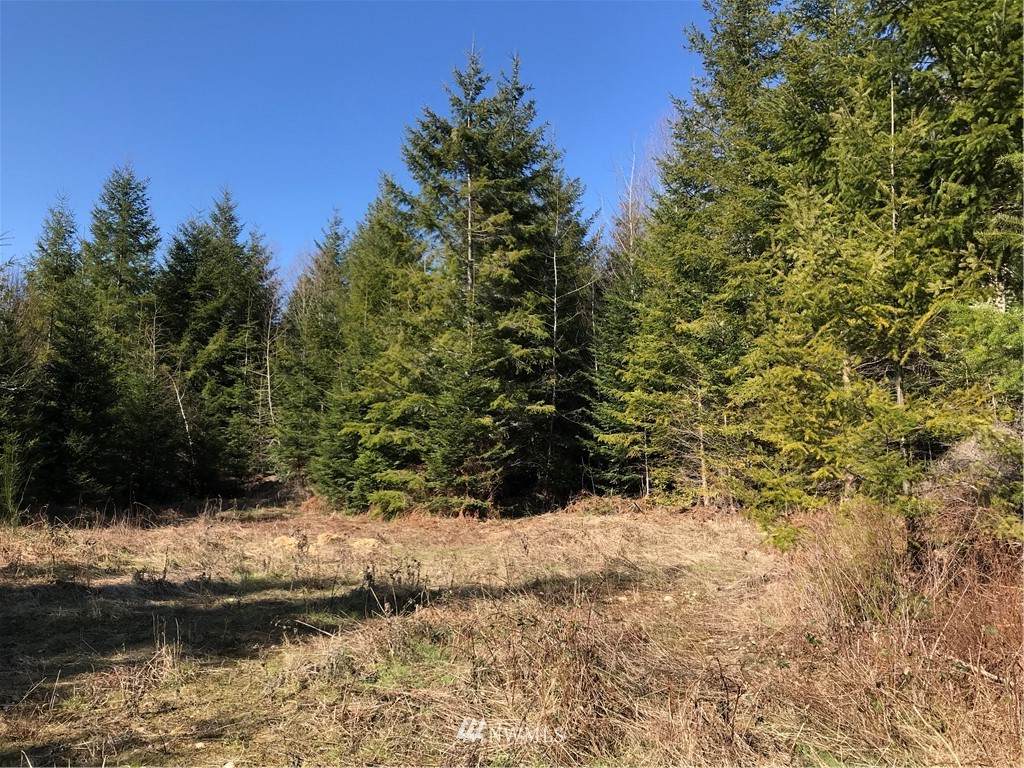 2 XXX 36Th Avenue - Photo 1